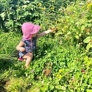 Meet your Posher, Chelsie